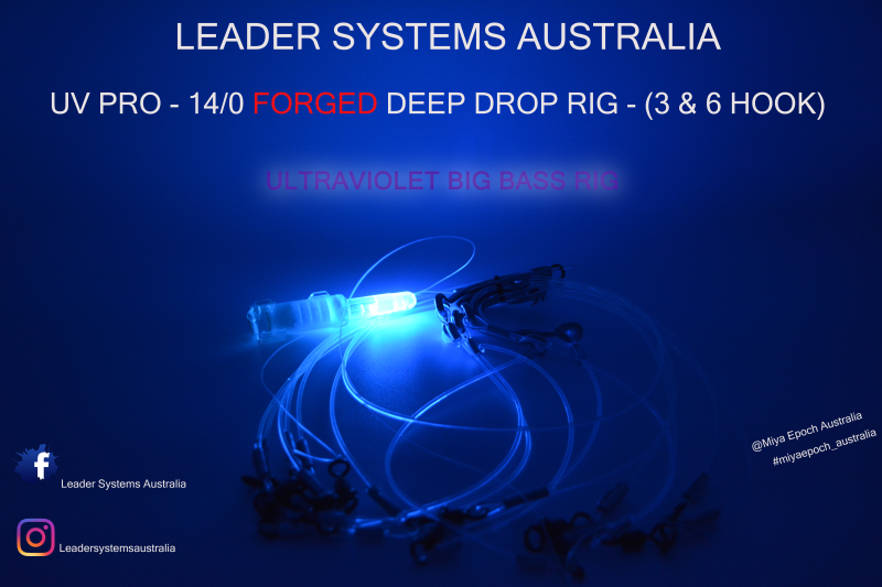 UV Pro 14/0 Forged Deep Drop Rig - Leader Systems Australia – Miya Epoch  Australia