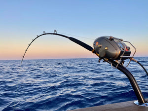 electric fishing reels australia 23 Leobritz Daiwa Miya Epoch Australia